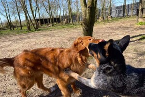 "Snuffelbos" - 1 april - 1 juni.