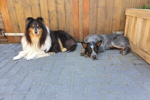 30 mei: lekker in de zon