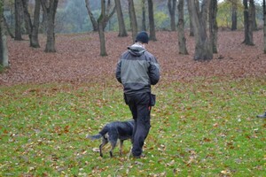 Vida: Gevorderdencursus