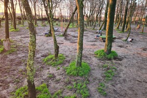 "Snuffelbos"  - 8 januari