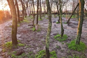 "Snuffelbos"  - 8 januari