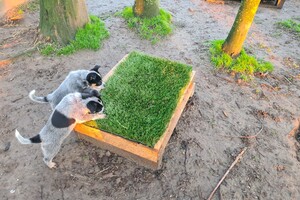 "Snuffelbos"  - 8 januari