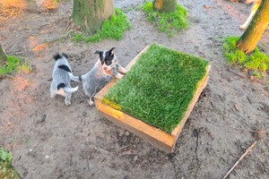 "Snuffelbos"  - 8 januari