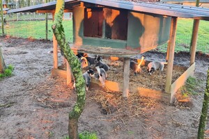 "Snuffelbos" - 8 januari