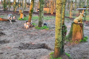 "Snuffelbos"  - 8 januari