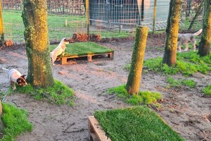 "Snuffelbos" - 8 januari