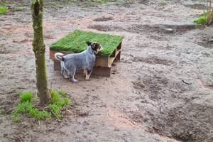 "Snuffelbos"  - 8 januari