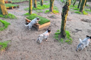 "Snuffelbos" - 8 januari