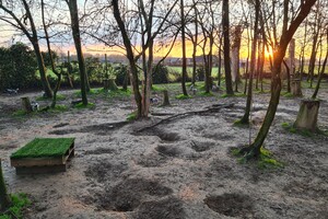 "Snuffelbos"  - 8 januari