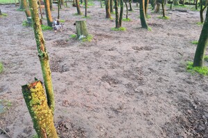 "Snuffelbos"  - 8 januari