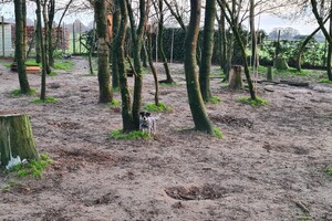 "Snuffelbos" - 8 januari