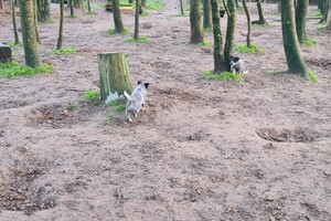 "Snuffelbos" - 8 januari