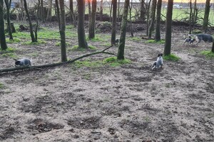 "Snuffelbos" - 8 januari