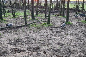 "Snuffelbos" - 8 januari