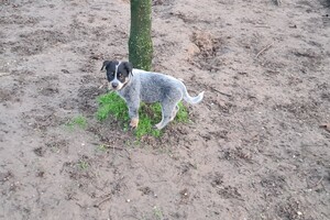 "Snuffelbos"  - 8 januari