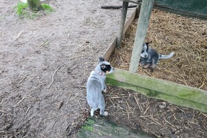 "snuffelbos" - 12 januari