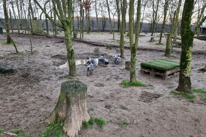 "Snuffelbos" - 12 januari