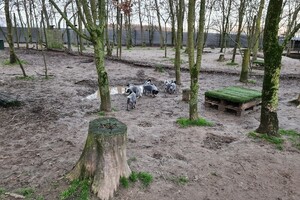 "snuffelbos" - 12 januari