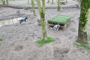 "snuffelbos" - 12 januari