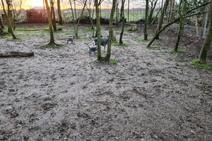 "Snuffelbos" - 12 januari