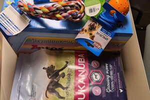 Sport en spel: frisbee