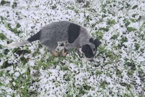 Wandelen zonder trekken
