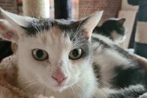 2021: Lucky en Faith