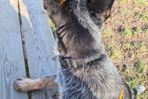 Wandelen zonder trekken