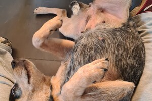 Het is zondag, dus effe massage