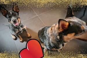 (4 april) Vrolijk Pasen!