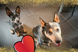 (4 april) Vrolijk Pasen!