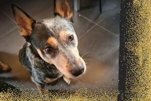 (4 april) Vrolijk Pasen!