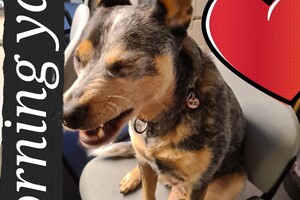 (4 april) Vrolijk Pasen!