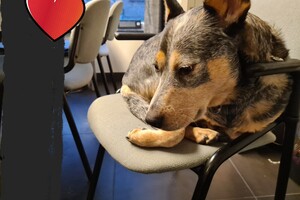 (4 april) Vrolijk Pasen!