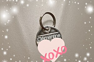 Clémentine (poes): het begin