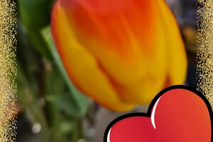 Pasen voor de poezen