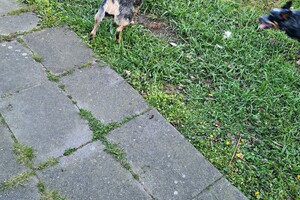 Met z'n allen: touw spelen