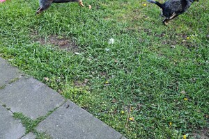 Met z'n allen: touw spelen