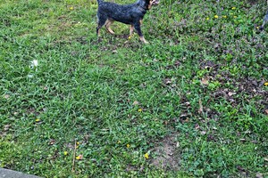 Met z'n allen: touw spelen