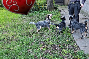 Met z'n allen: touw spelen