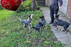 Met z'n allen: touw spelen