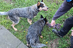 Met z'n allen: touw spelen