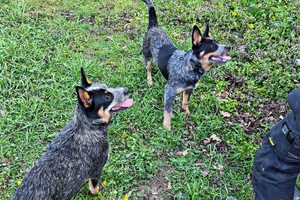 Met z'n allen: touw spelen