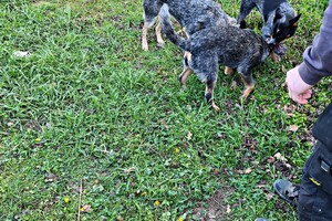 Met z'n allen: touw spelen