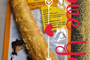 Bot voor Dakota, Yada en Vida