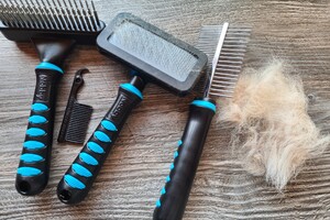 Eerste keer borstelen