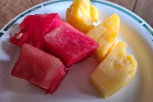 meloen ananas voor de honden