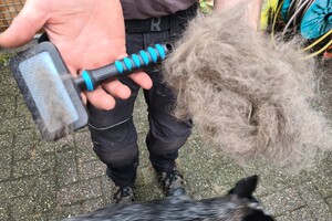 Yada: wintervacht eruit