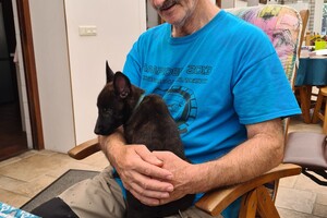 Onze Bucky - 23 augustus 2021