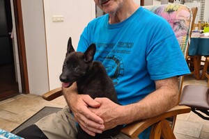 Onze Bucky - 23 augustus 2021